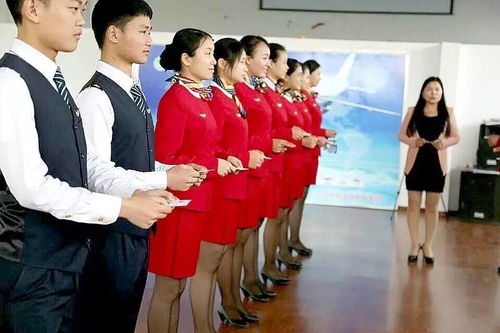 服務禮儀實戰(zhàn)訓練指南 從理論到行動的干貨寶典