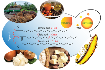 &ldquo;廣以范&rdquo;初創(chuàng)公司完成預(yù)種子輪投資