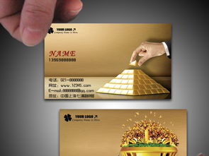 精品投資理財名片圖片設計素材 高清psd模板下載 10.63mb 其他名片大全